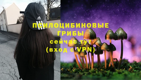 ALPHA-PVP Краснотурьинск