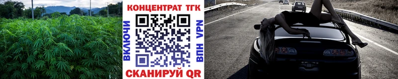 ТГК Wax  Малгобек 