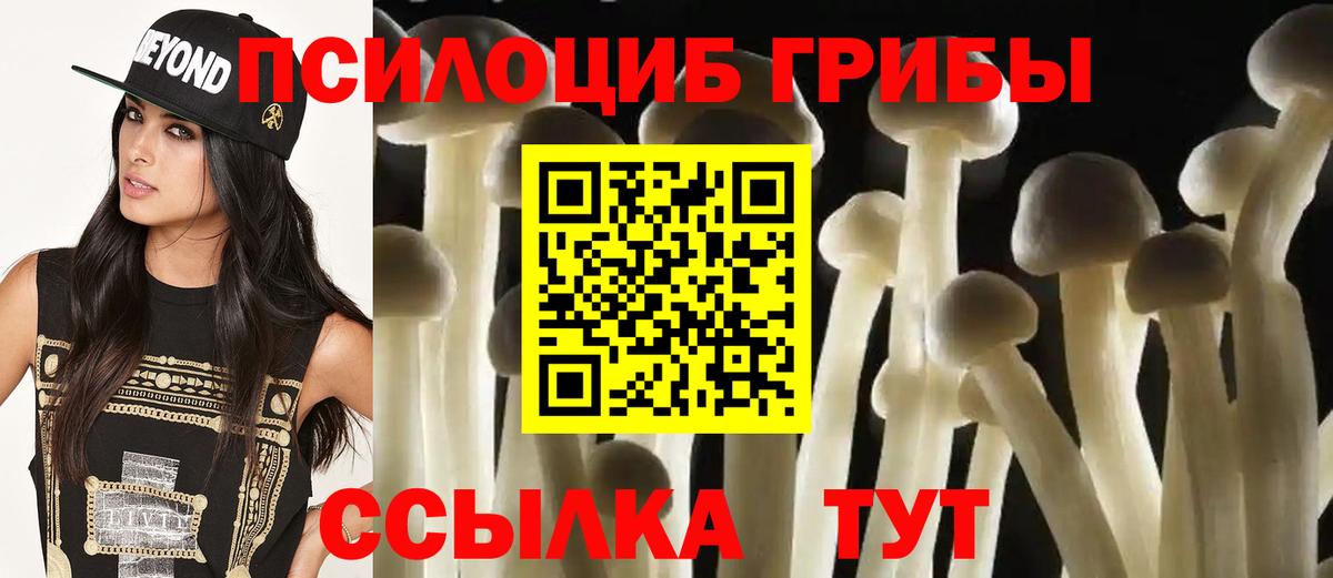 Псилоцибиновые грибы Cubensis  Вход с VPN  Малгобек  Псилоцибиновые грибы прущие грибы 